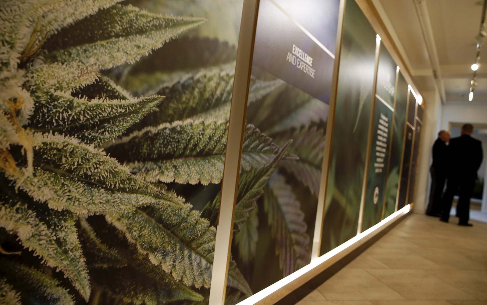 Um quarto dos pacientes com câncer usou maconha medicinal nos EUA, diz estudo